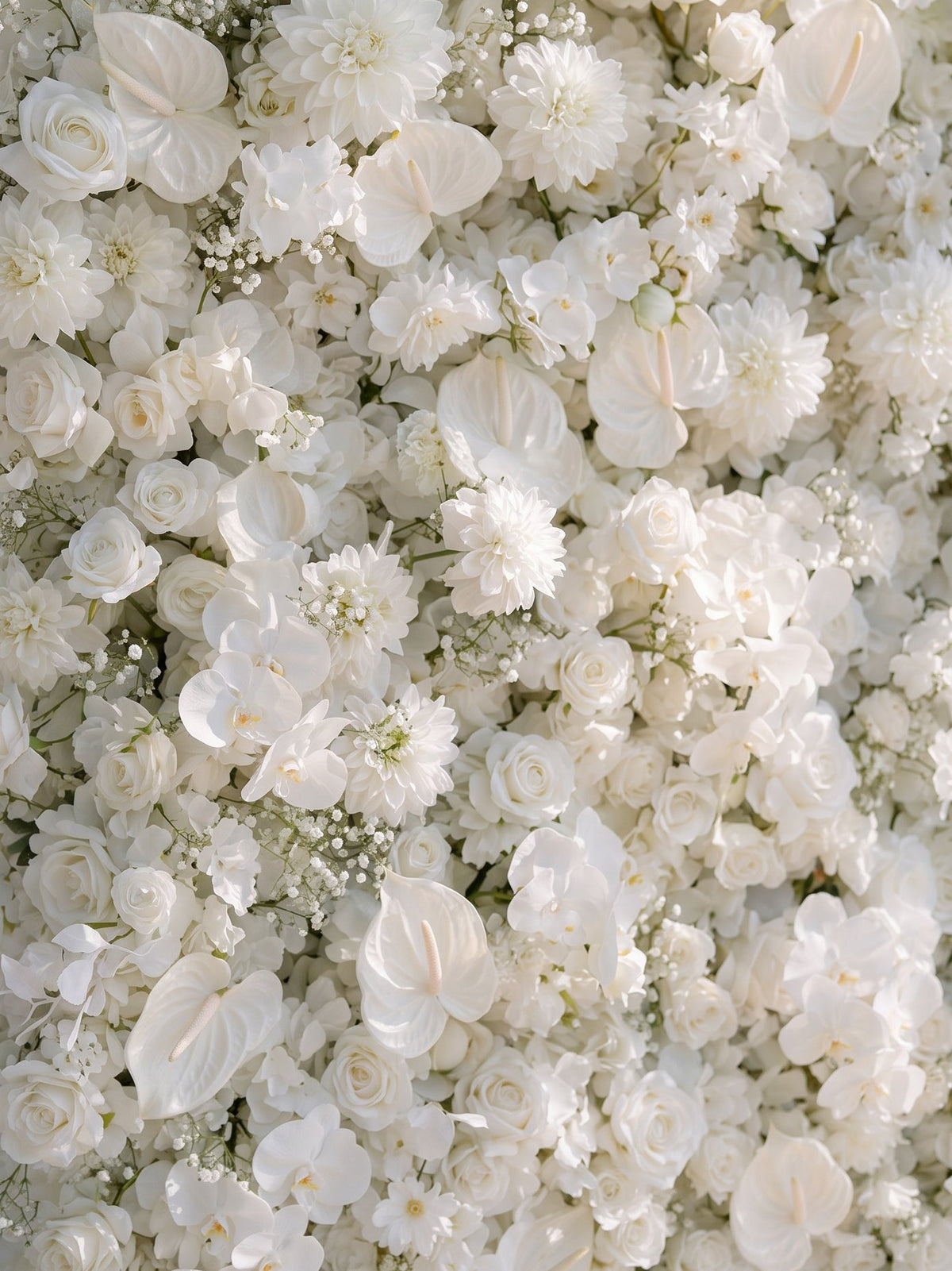 Opal | 2026 Luxury 5D All-White Floral Wall with Greenery Roll-Up Backdrop for Rustic Garden Weddings | Shipping Included