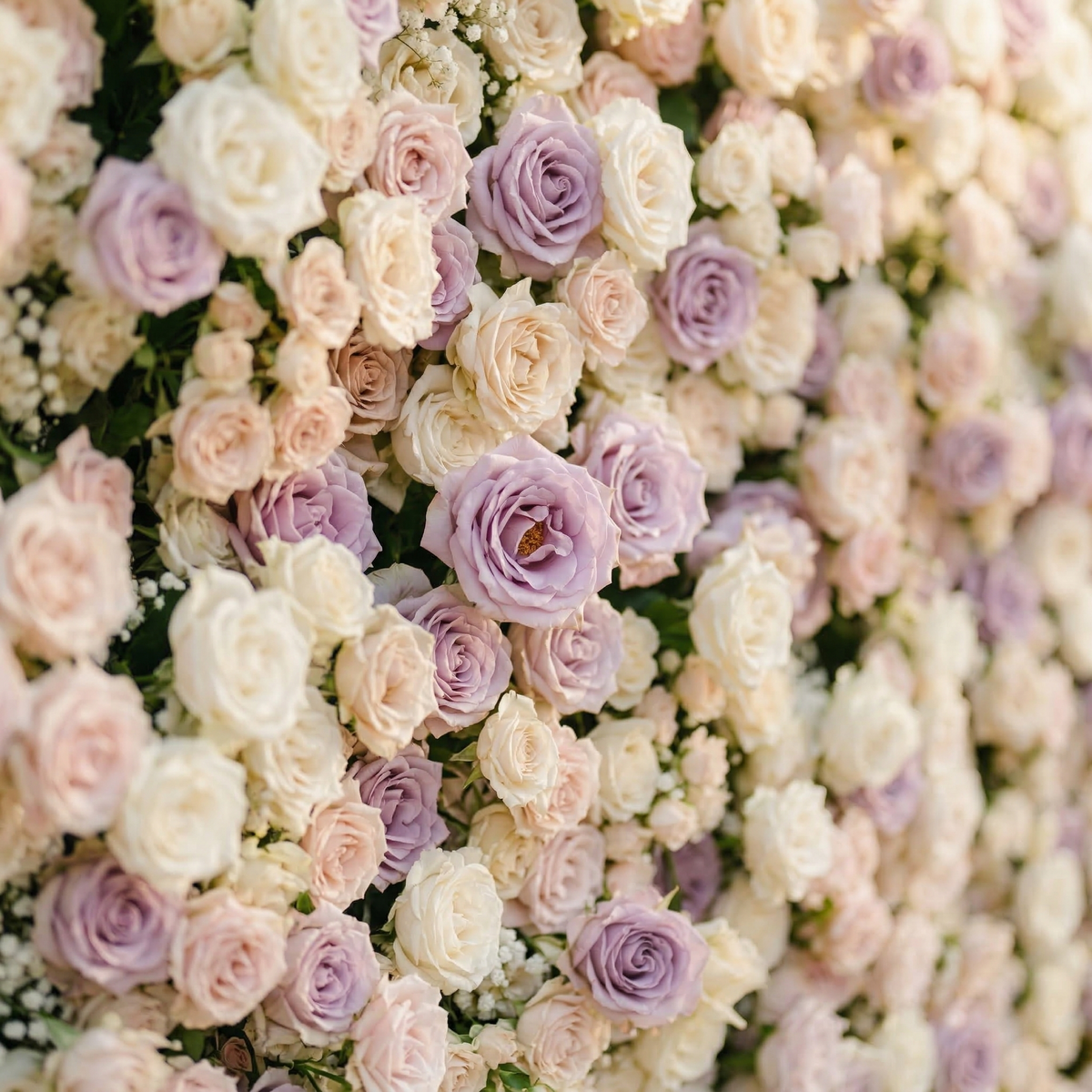 Alirae | 5D Sweet Lilac & Cream Event-Ready Silk Rose Floral Wall Backdrop for Elegant Anniversary & Event Decor | Shipping Included