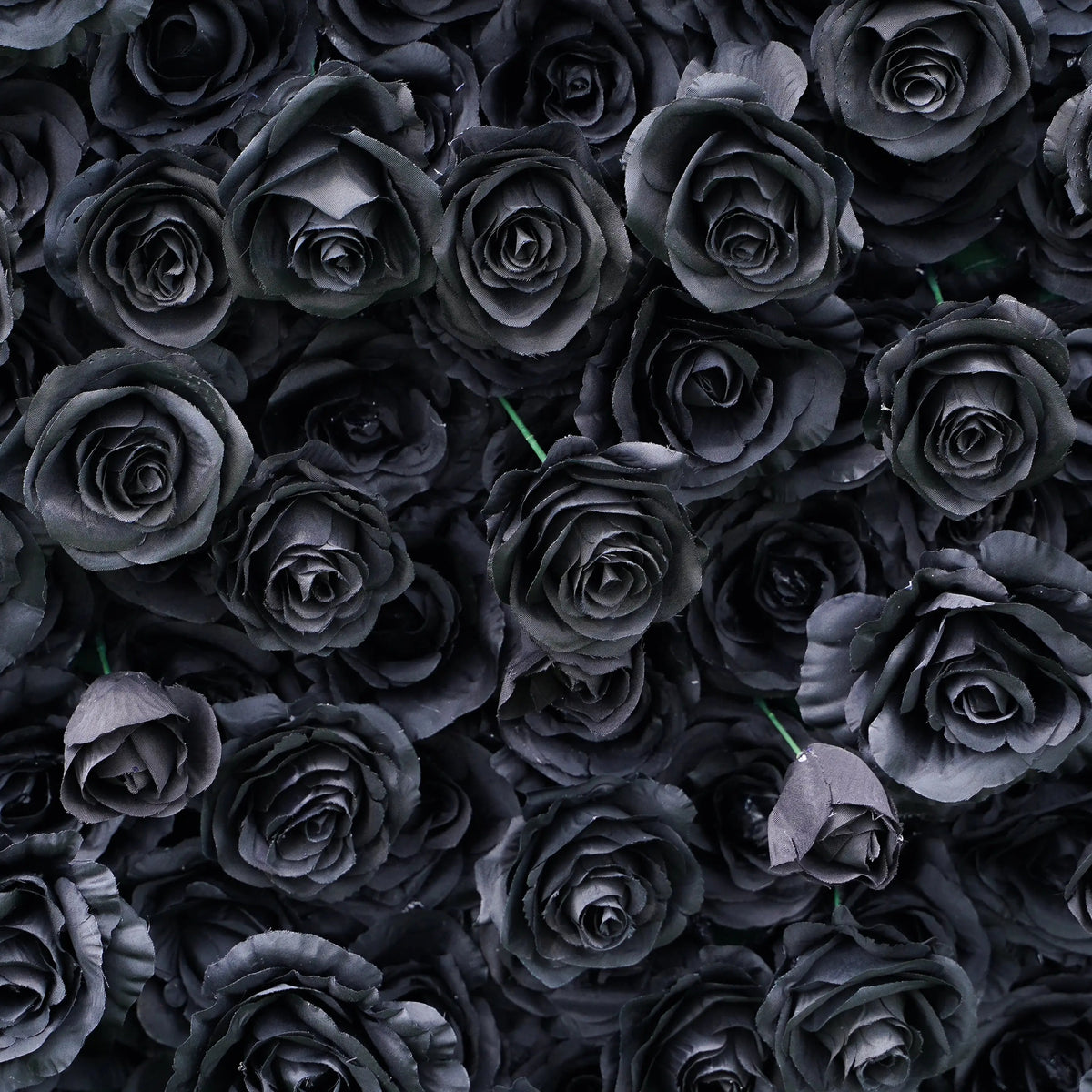 Black | 4D Event-Ready Artificial Floral Wall Backdrop, Roll-Up Fabric | Shipping Included