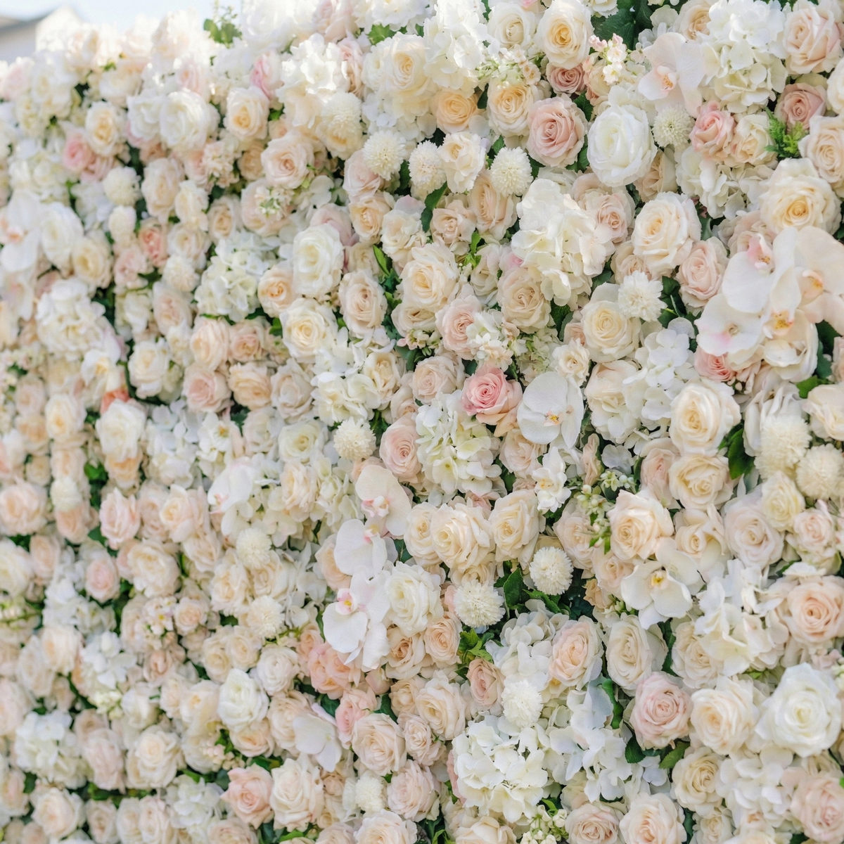Casey | Premium 5D Soft Blush & White Event-Ready Silk Floral Wall Backdrop for Dreamy Garden Ceremonies & Elegant Wedding | Shipping Included