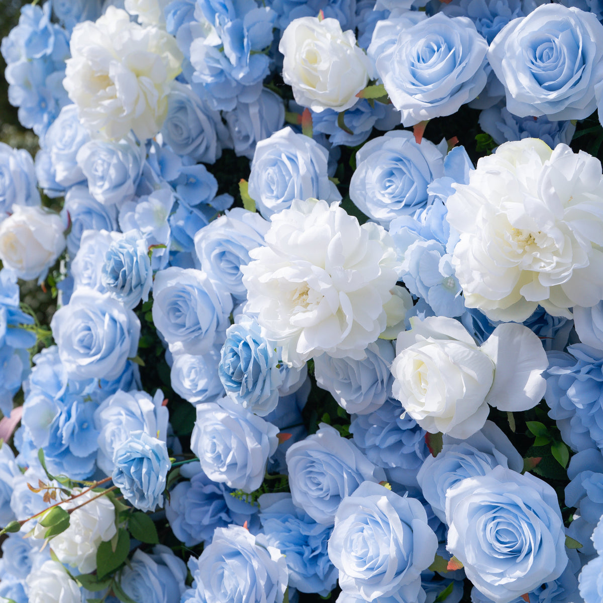Clarissa | 3D Event-Ready Artificial Floral Wall Backdrop, Roll-Up Fabric | Shipping Included