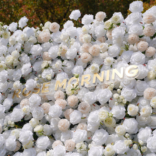 BenBen：5D Fabric Artificial rolling up curtain flower wall Rose Morning