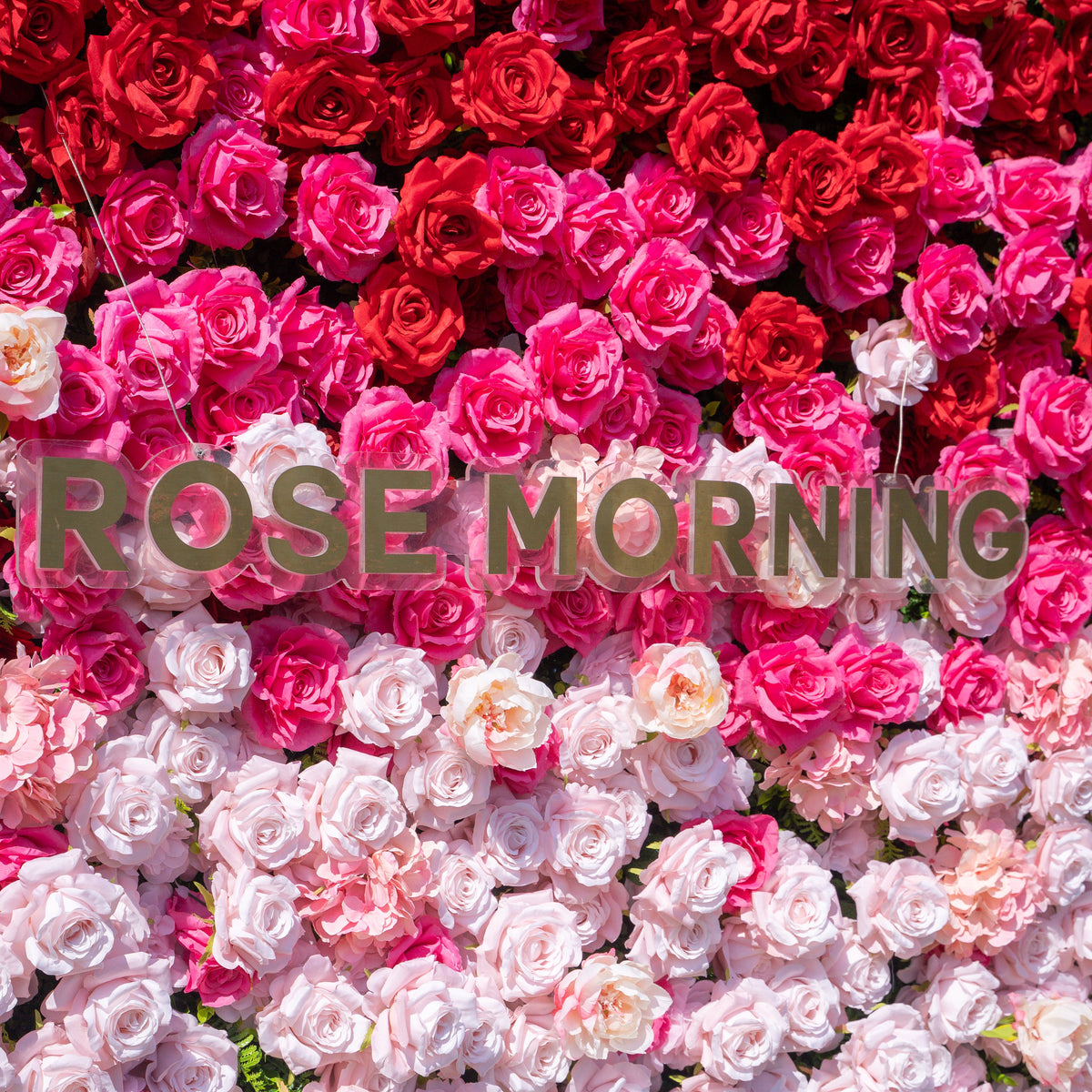 Buuz | 3D Event-Ready Artificial Floral Wall Backdrop, Roll-Up Fabric | Shipping Included