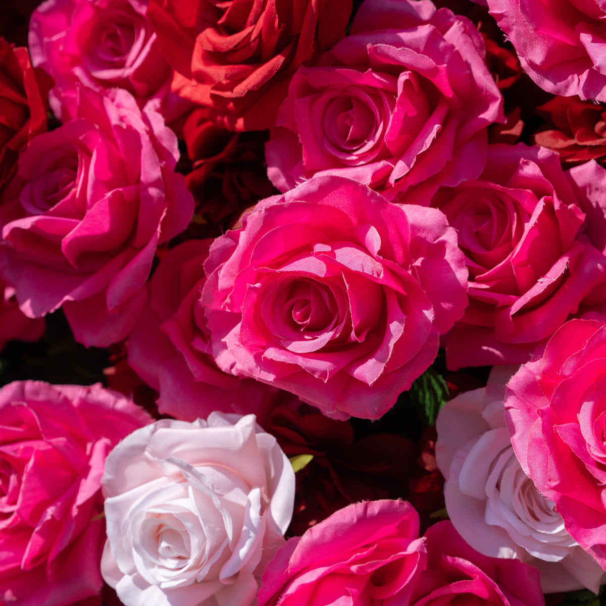 Buuz | 3D Event-Ready Artificial Floral Wall Backdrop, Roll-Up Fabric | Shipping Included