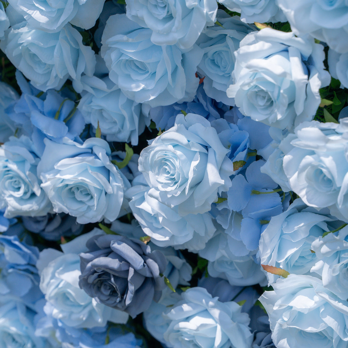 Cool | Event-Ready Artificial Floral Wall Backdrop, Roll-Up Fabric | Shipping Included