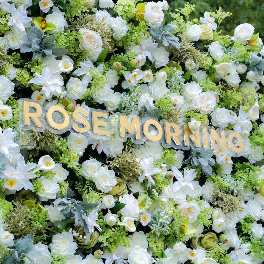 Echo 5D Fabric Artificial rolling up curtain flower wall Rose Morning