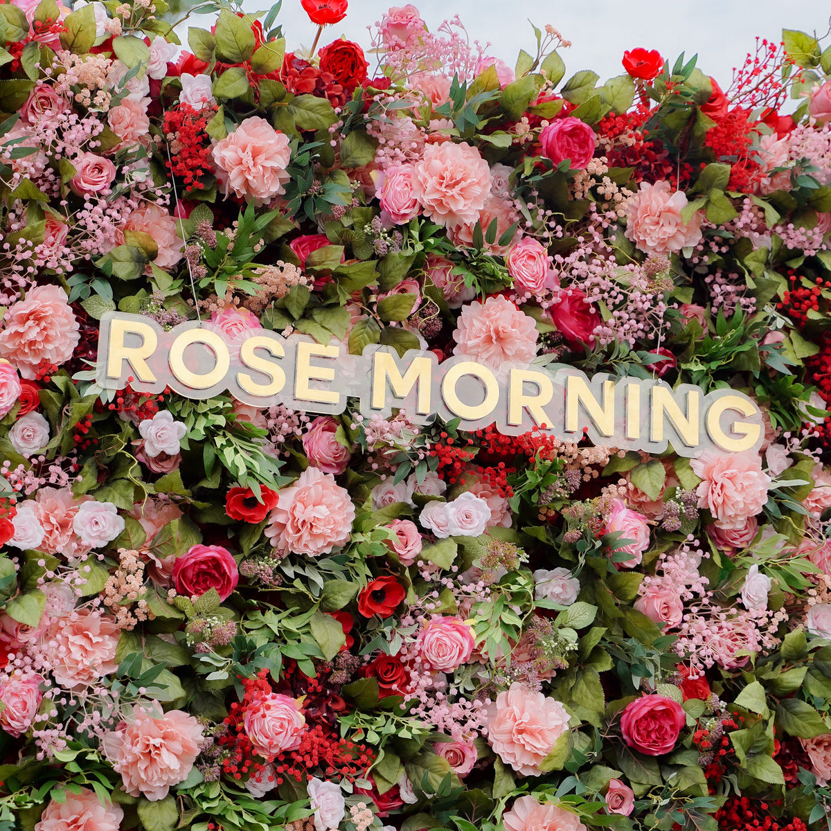 Freya 5D Fabric Artificial rolling up curtain flower wall Rose Morning