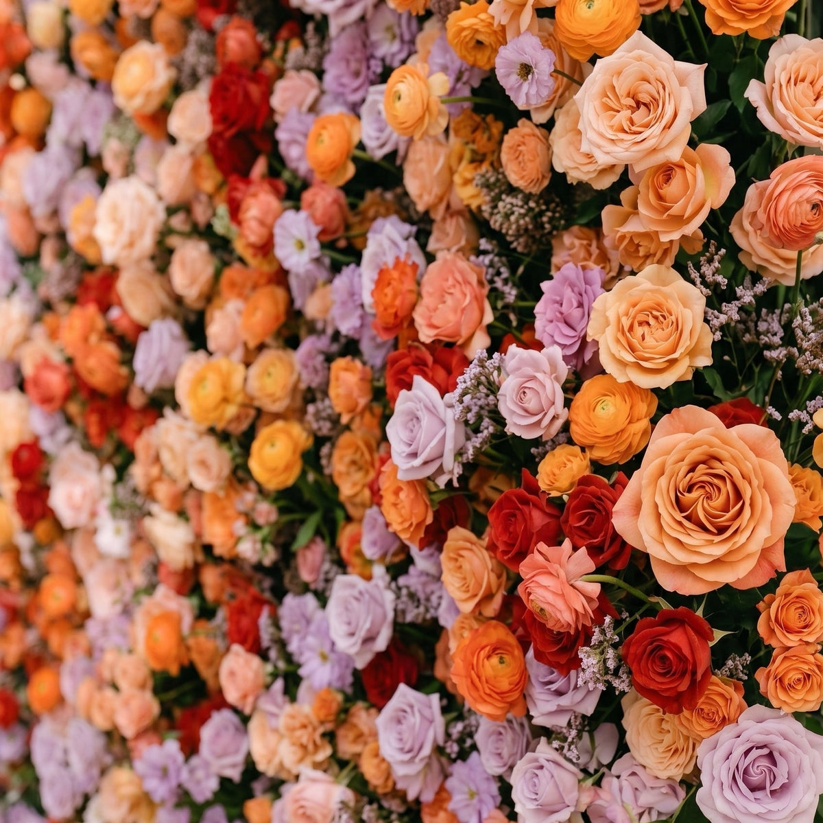 Daelyne | Luxury 5D Sunset Orange & Lavender Event-Ready Silk Floral Wall Backdrop for Warm Summer Weddings | Shipping Included
