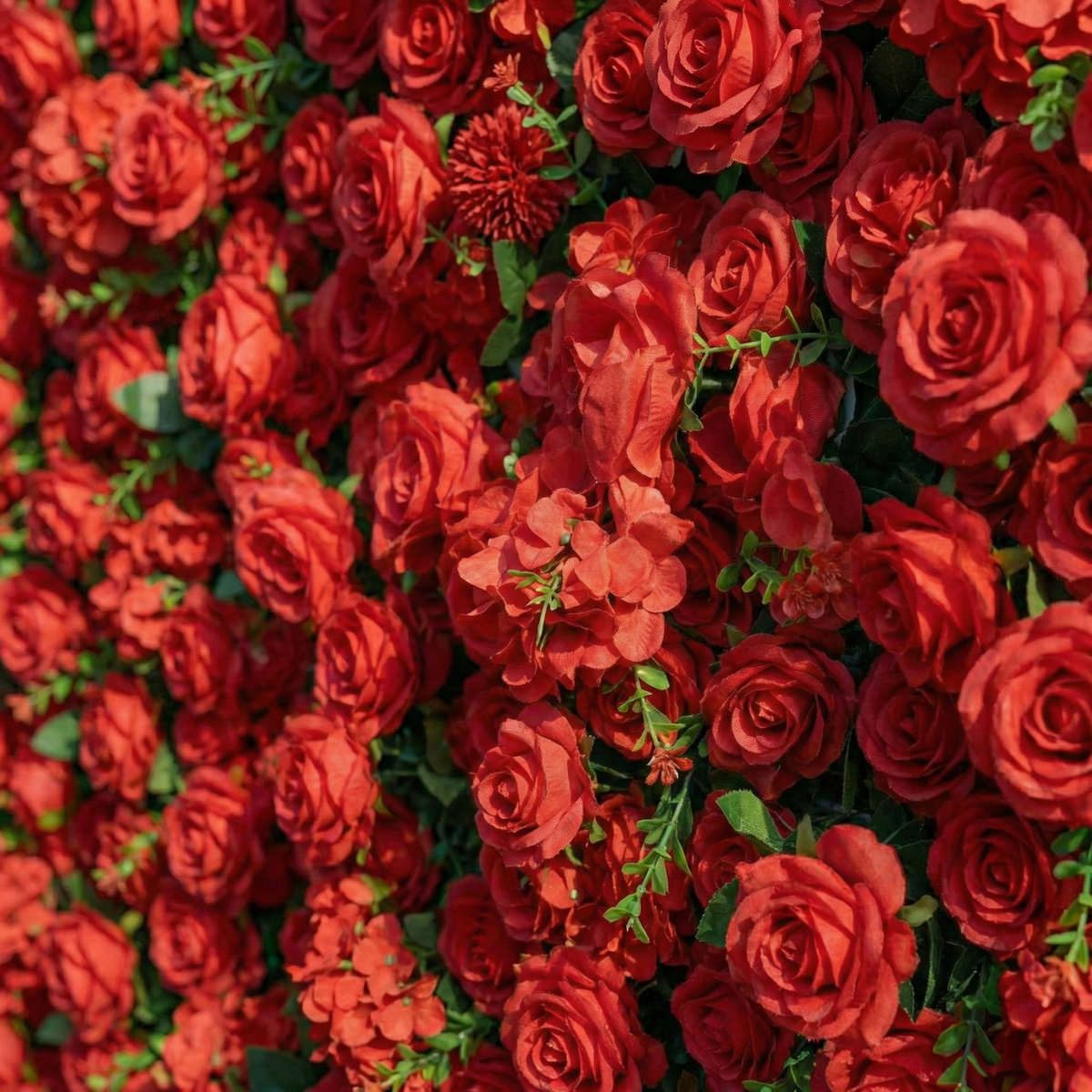 Ellis | Luxury 5D Crimson Event-Ready Silk Rose Floral Wall Backdrop for Romantic Proposals & Luxury Wedding Event | Shipping Included