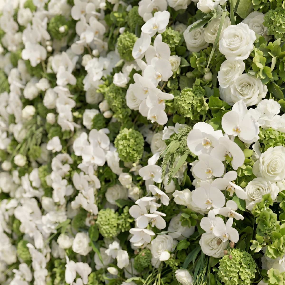Evelaria | Luxury 5D White & Green Silk Event-Ready Floral Wall Backdrop for Edgy Romantic Weddings | Shipping Included
