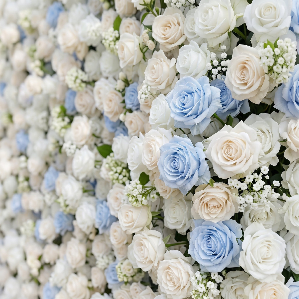 Fiorelle | 5D Dusty Baby Blue & Ivory White Event-Ready Silk Rose Floral Wall Backdrop for Romantic Wedding & Proposal Setups | Shipping Included