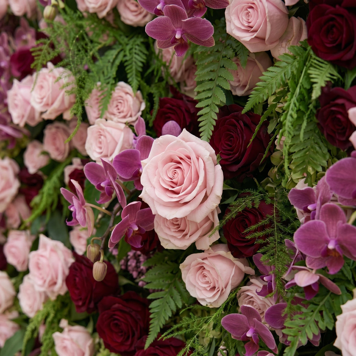 Gaellena | Luxury 5D Burgundy & Blush Pink Floral Wall with Greenery Roll-Up Backdrop for Romantic Fall Weddings | Shipping Included