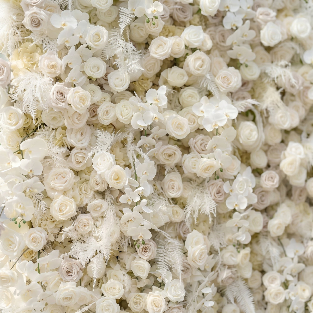 Junbelle | Elegant 5D White Floral Wall with Pampas Grass Accents Roll-Up Backdrop for Whimsical Bridal Showers | Shipping Included