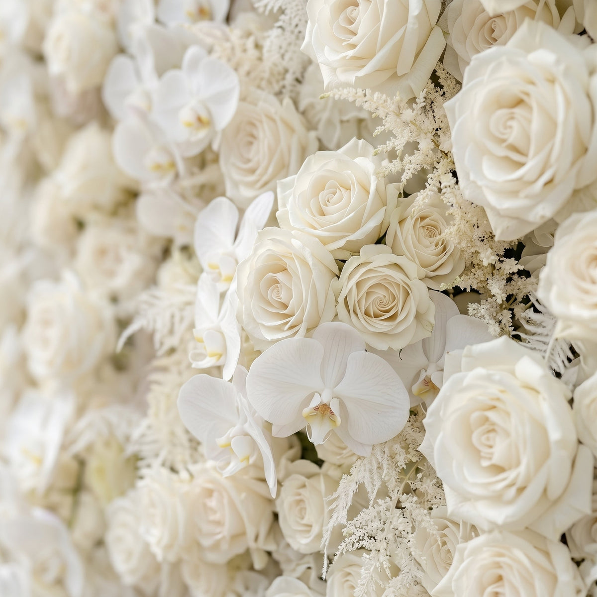 Junbelle | Elegant 5D White Floral Wall with Pampas Grass Accents Roll-Up Backdrop for Whimsical Bridal Showers | Shipping Included