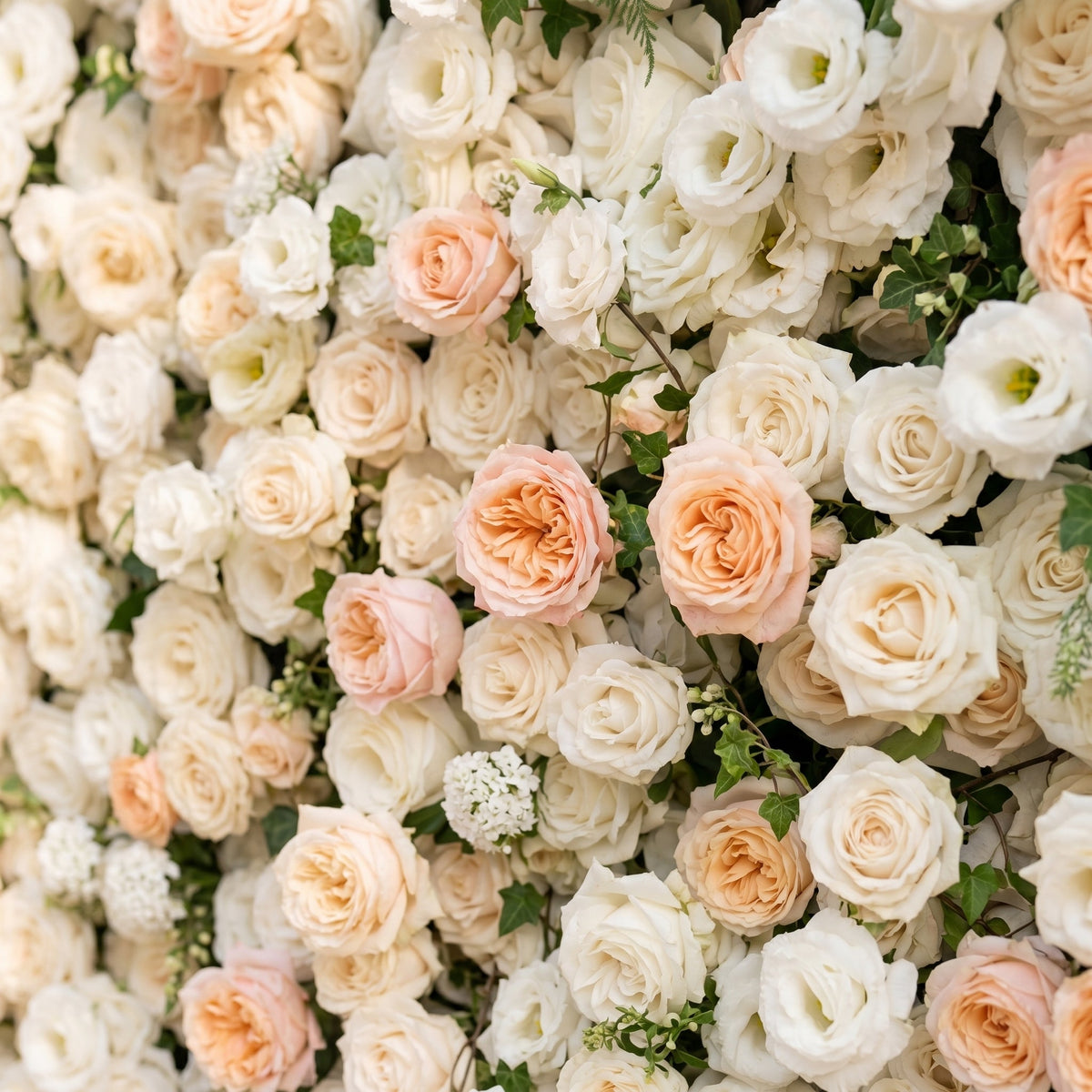 Karellora | 5D Cream Ivory White Event-Ready Silk Rose Floral Wall Backdrop with Soft Peach Accents for Romantic Wedding & Proposal Setups | Shipping Included