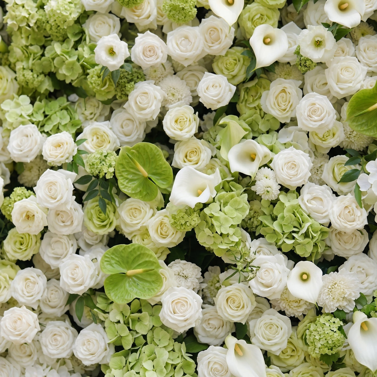 Keirmira | 5D Fresh Green & Ivory White Event-Ready Silk Rose Floral Wall Backdrop for Romantic Wedding & Proposal Setups | Shipping Included