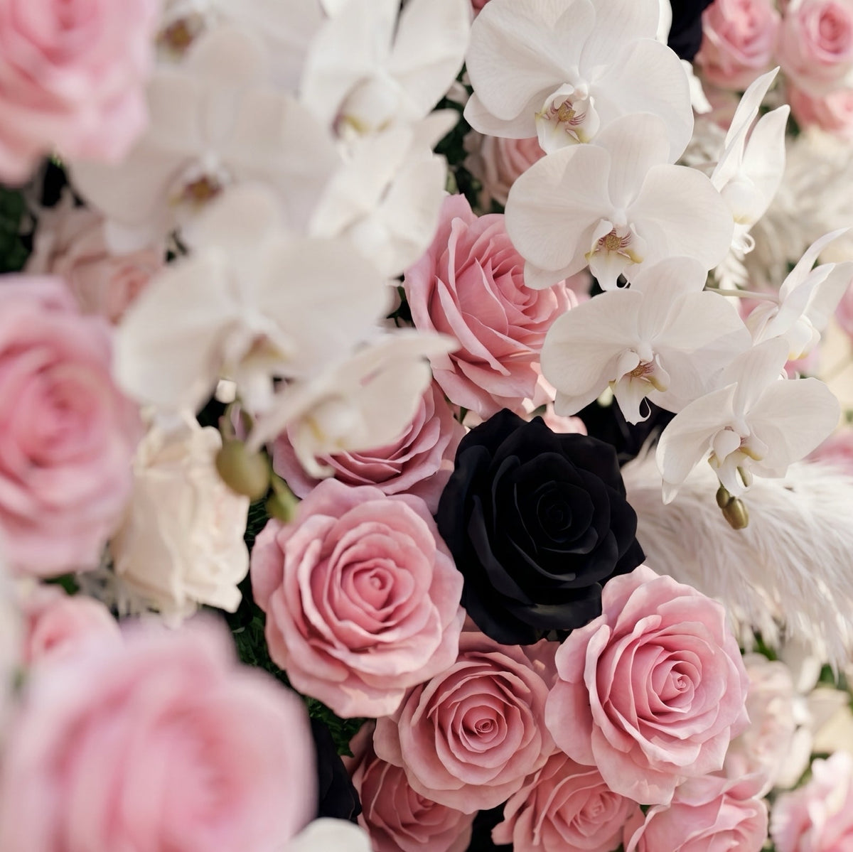 Larorae | Luxury 5D Black & Blush Pink Silk Event-Ready Floral Wall Backdrop for Edgy Romantic Weddings | Shipping Included