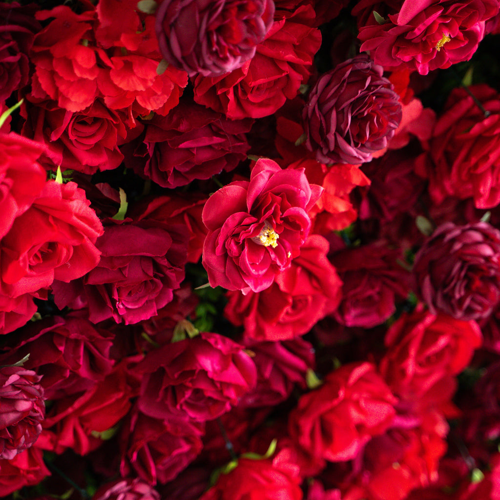Luna | 3D Layered Flower Wall - Luxury Silk Rolling Backdrop | Shipping Included