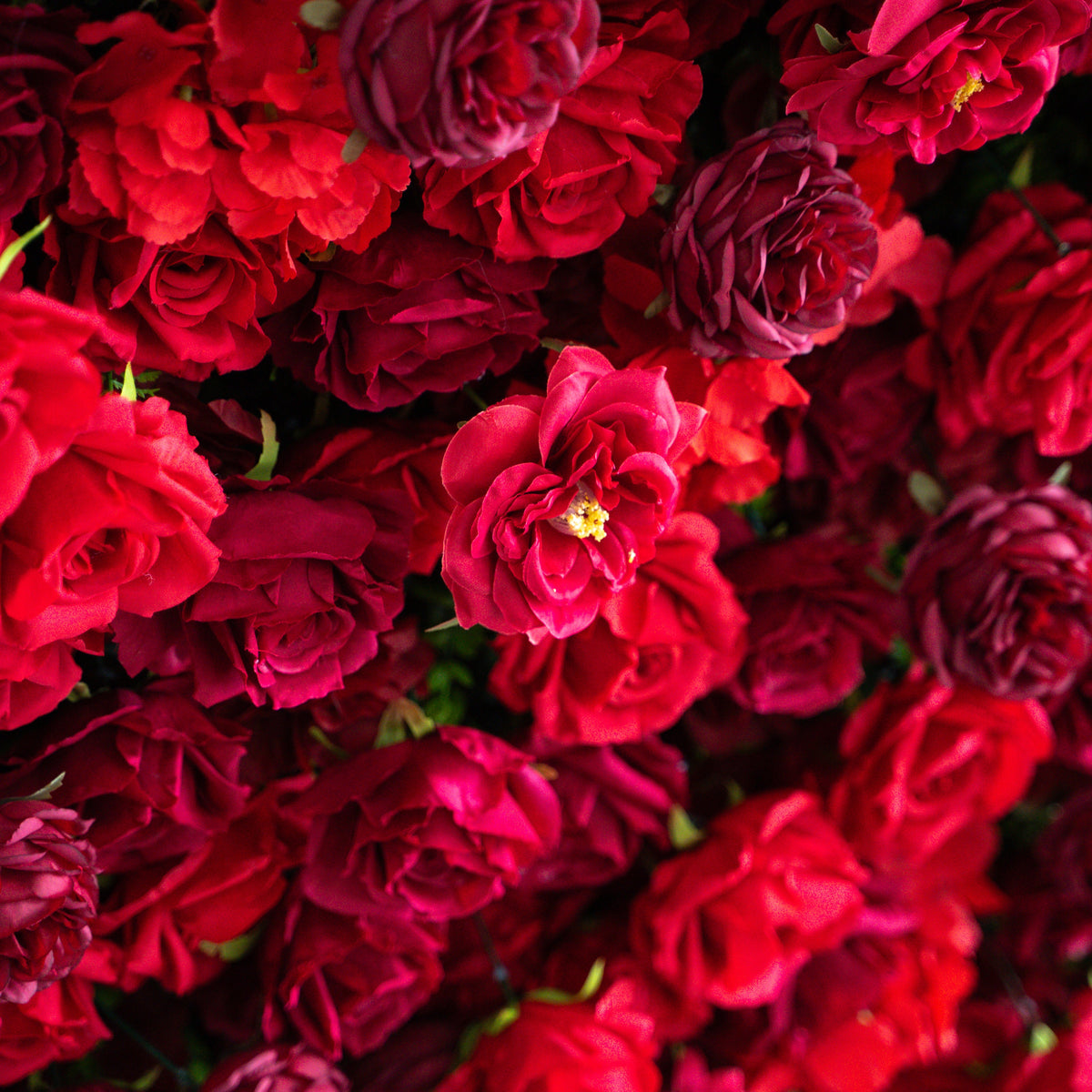 Luna | 3D Layered Flower Wall - Luxury Silk Rolling Backdrop | Shipping Included