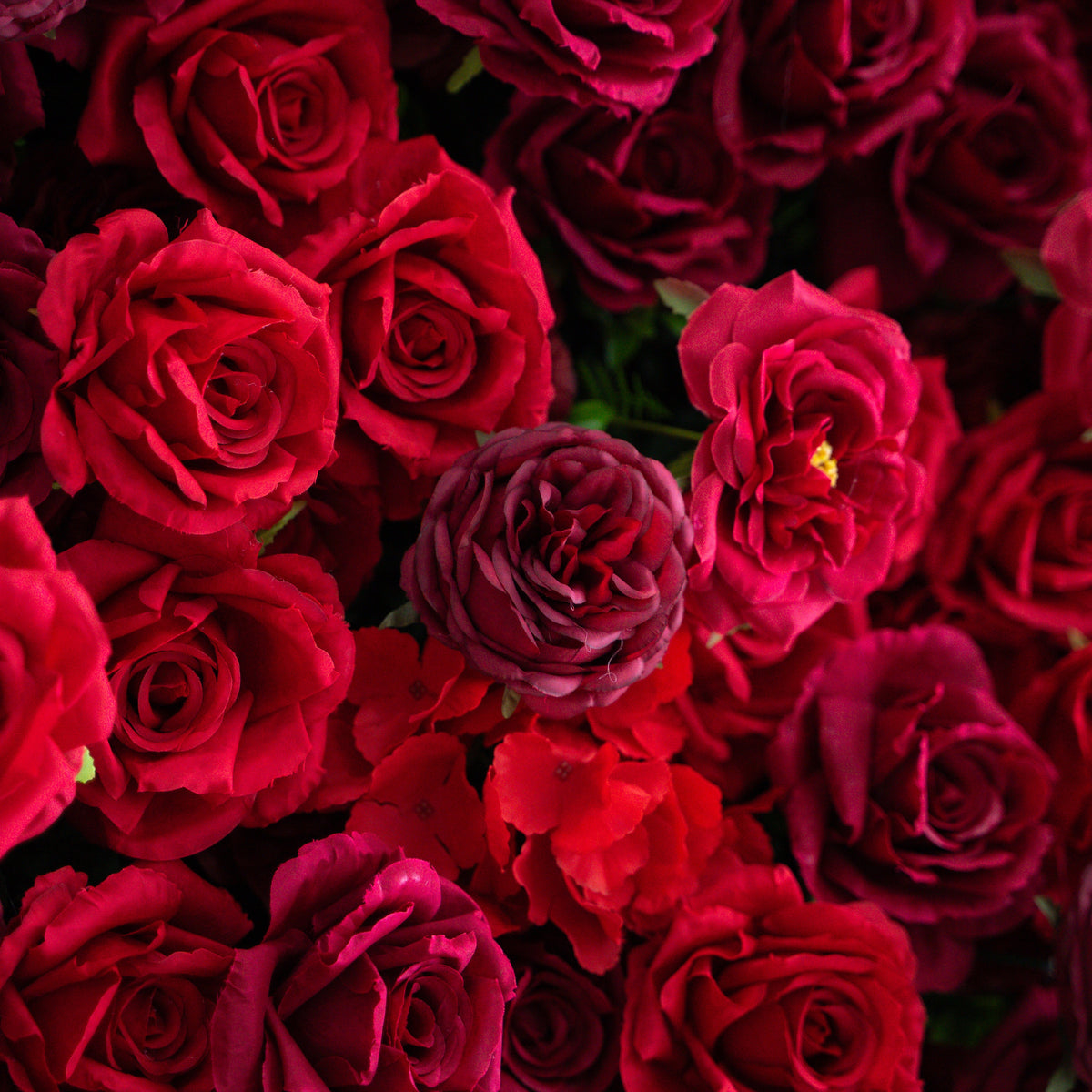 Luna | 3D Layered Flower Wall - Luxury Silk Rolling Backdrop | Shipping Included