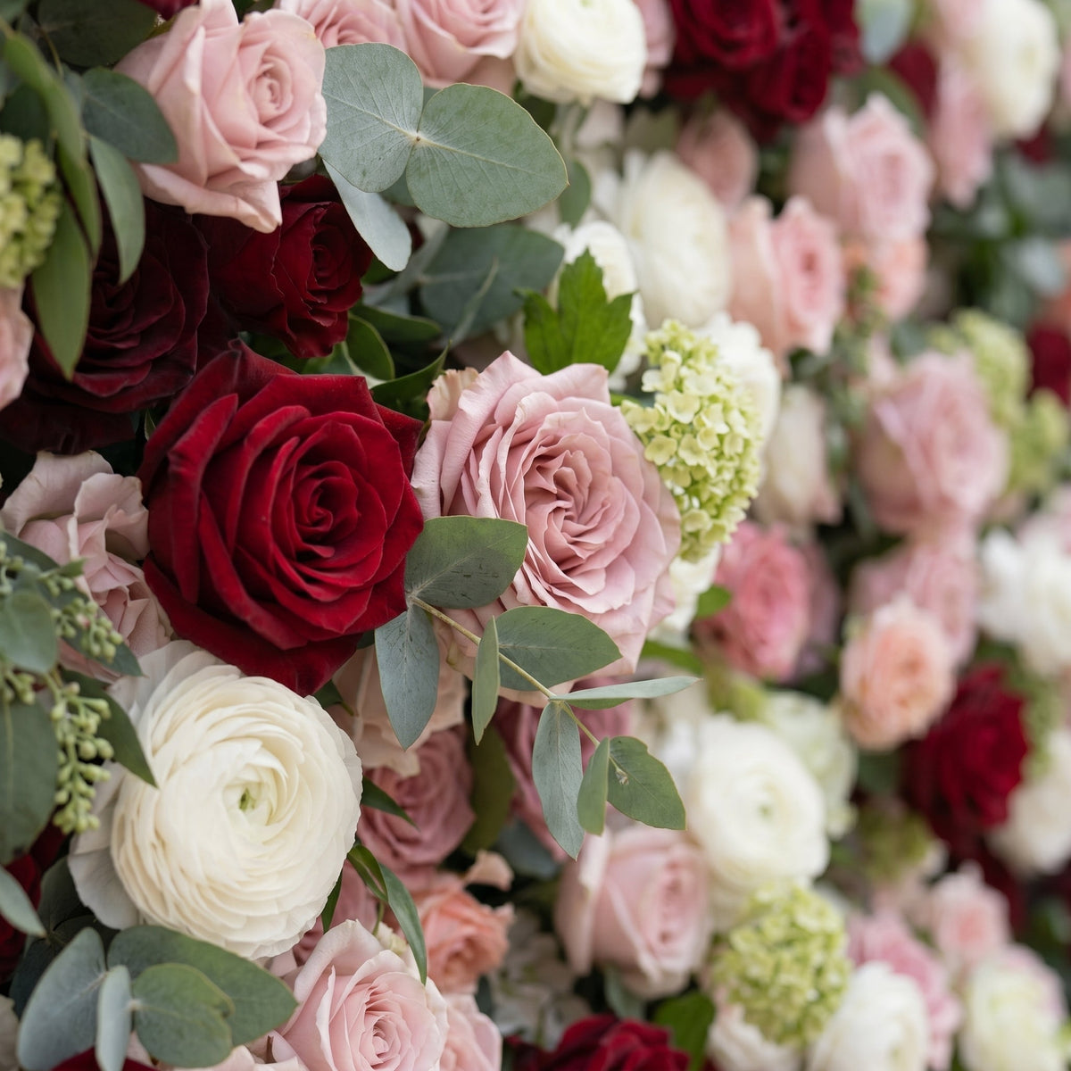 Mavenrella | 5D Burgundy Red, Blush Pink & Ivory White Event-Ready Silk Rose Floral Wall Backdrop for Romantic Wedding & Proposal Setups | Shipping Included