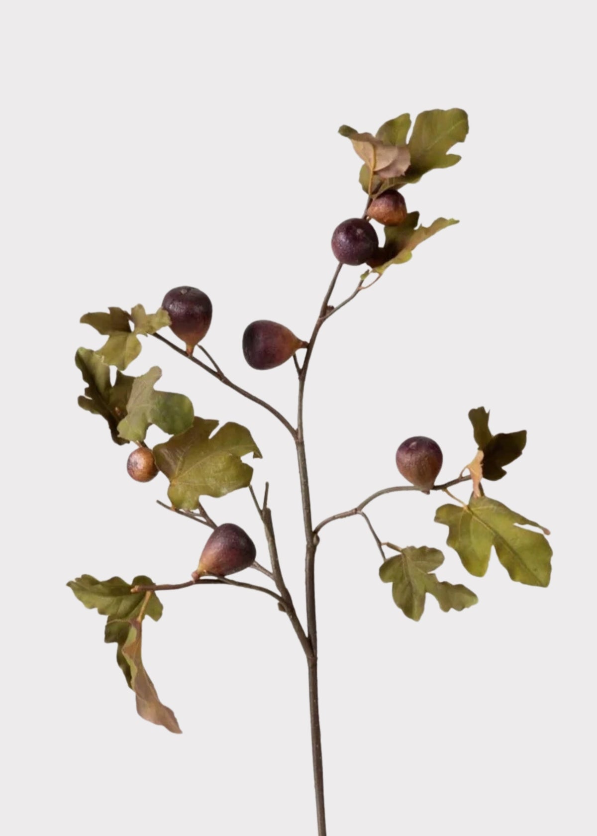 Premium Faux Fig Branch in Eggplant - 37
