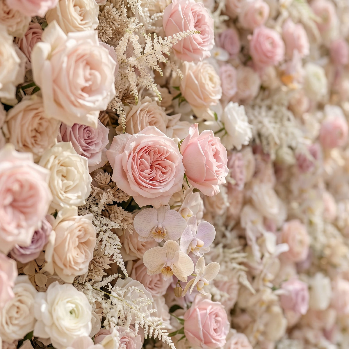 Valsora | 5D Gradient Warm Blush Pink & Ivory White Event-Ready Silk Rose Floral Wall Backdrop for Romantic Wedding & Proposal Setups | Shipping Included