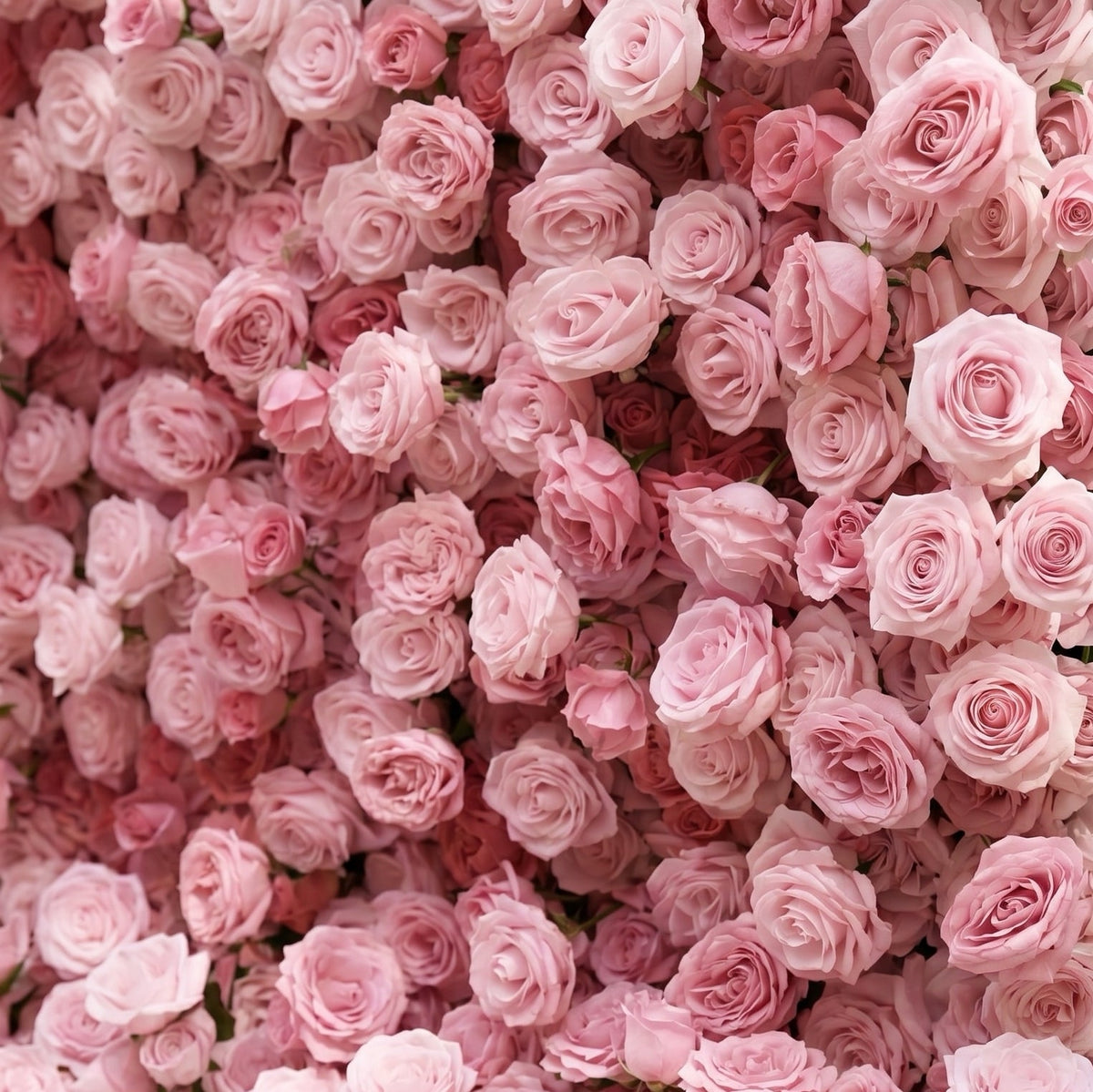 Perira | Luxury 5D Pink Silk Event-Ready Floral Wall Backdrop for Elegant Minimalist Weddings | Shipping Included