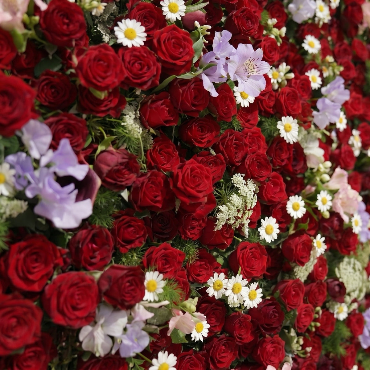 Sabbelle | Luxury 4D Ruby Red Rose Silk Floral Wall Backdrop with White Daisy & Lavender Accents for Romantic Weddings | Shipping Included