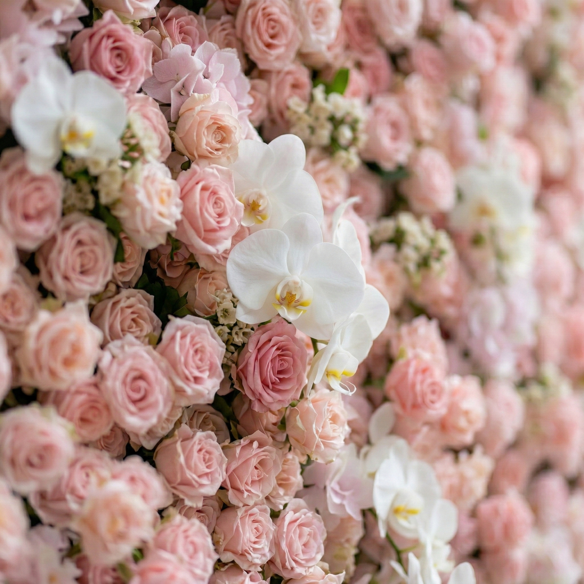 Sabine | 5D Blush Pink Silk Rose Flower Wall with White Orchid for Elegant Weddings & Ballroom Receptions | Shipping Included