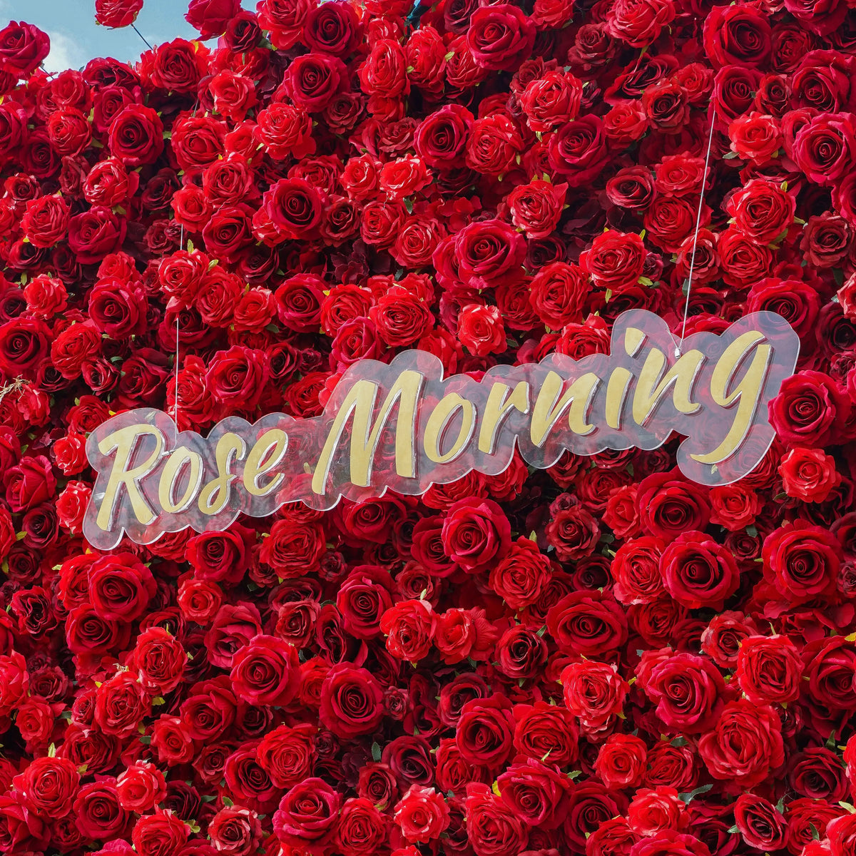 Stacie | 5D Garden Series New Event-Ready Artificial Floral Wall Backdrop, Roll-Up Fabric | Shipping Included
