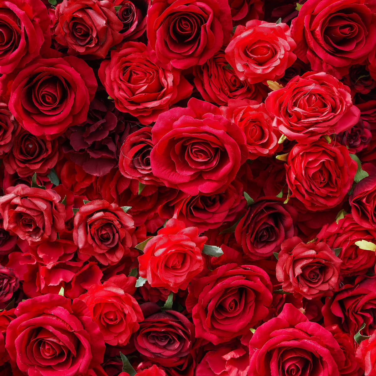 Stacie | 5D Garden Series New Event-Ready Artificial Floral Wall Backdrop, Roll-Up Fabric | Shipping Included