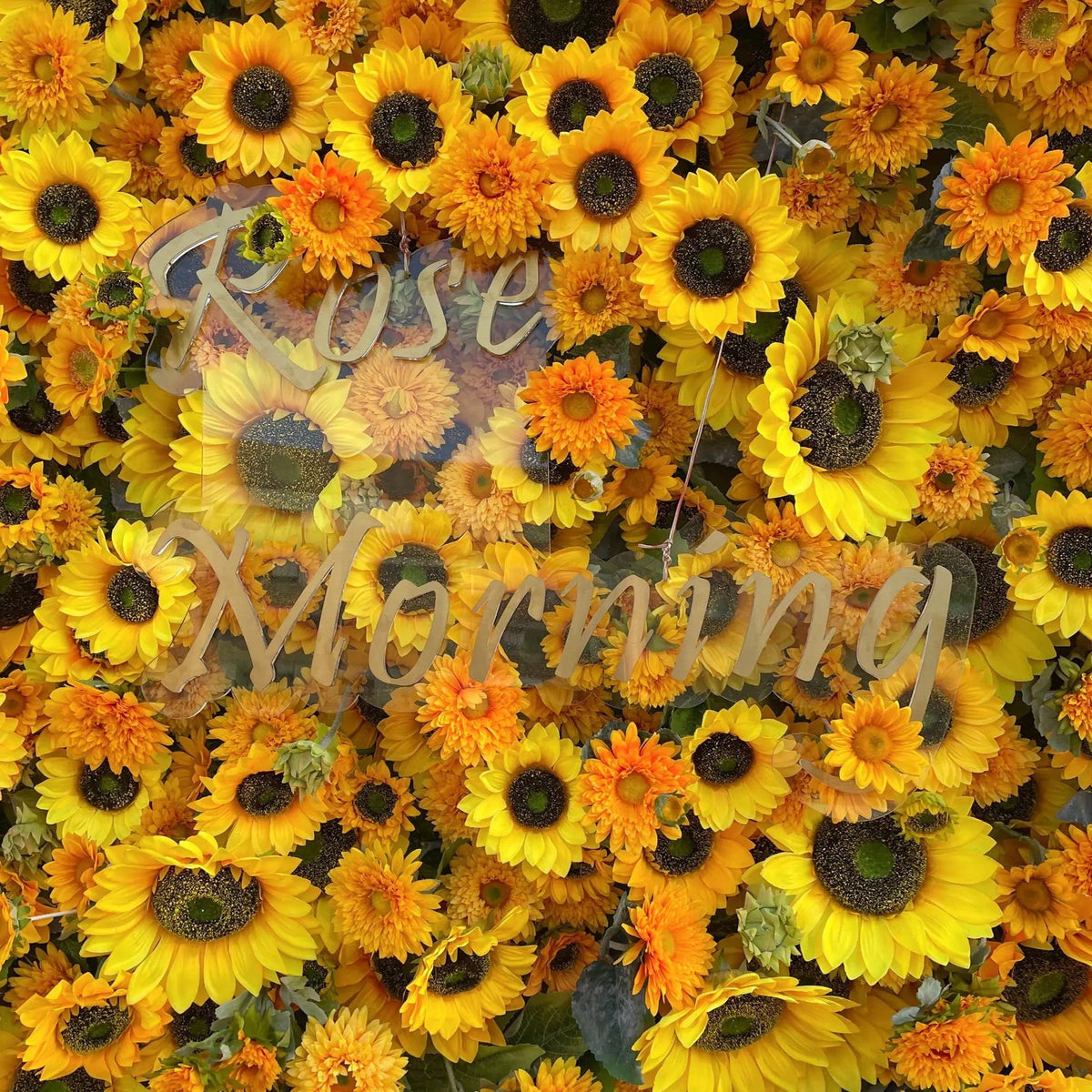 Sunflower | 5D Event-Ready Artificial Floral Wall Backdrop, Roll-Up Fabric | Shipping Included
