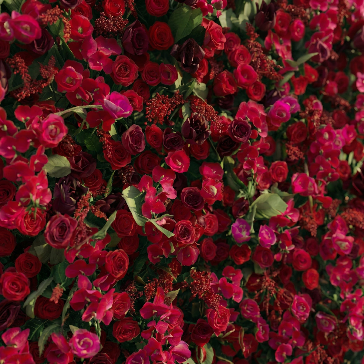 Torella | 5D Luxury Burgundy Red Event-Ready Silk Rose Floral Wall Backdrop for Romantic Wedding & Proposal Setups | Shipping Included