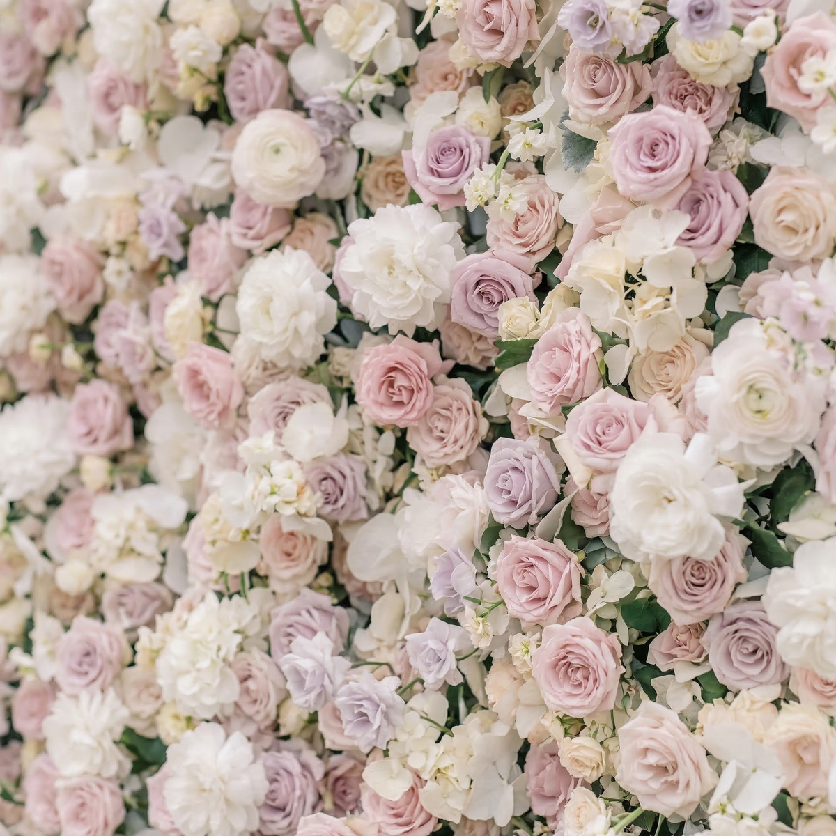 Vexira | 3D Dusty Pink Event-Ready Silk Rose Floral Wall Backdrop for Romantic Wedding & Proposal Setups | Shipping Included