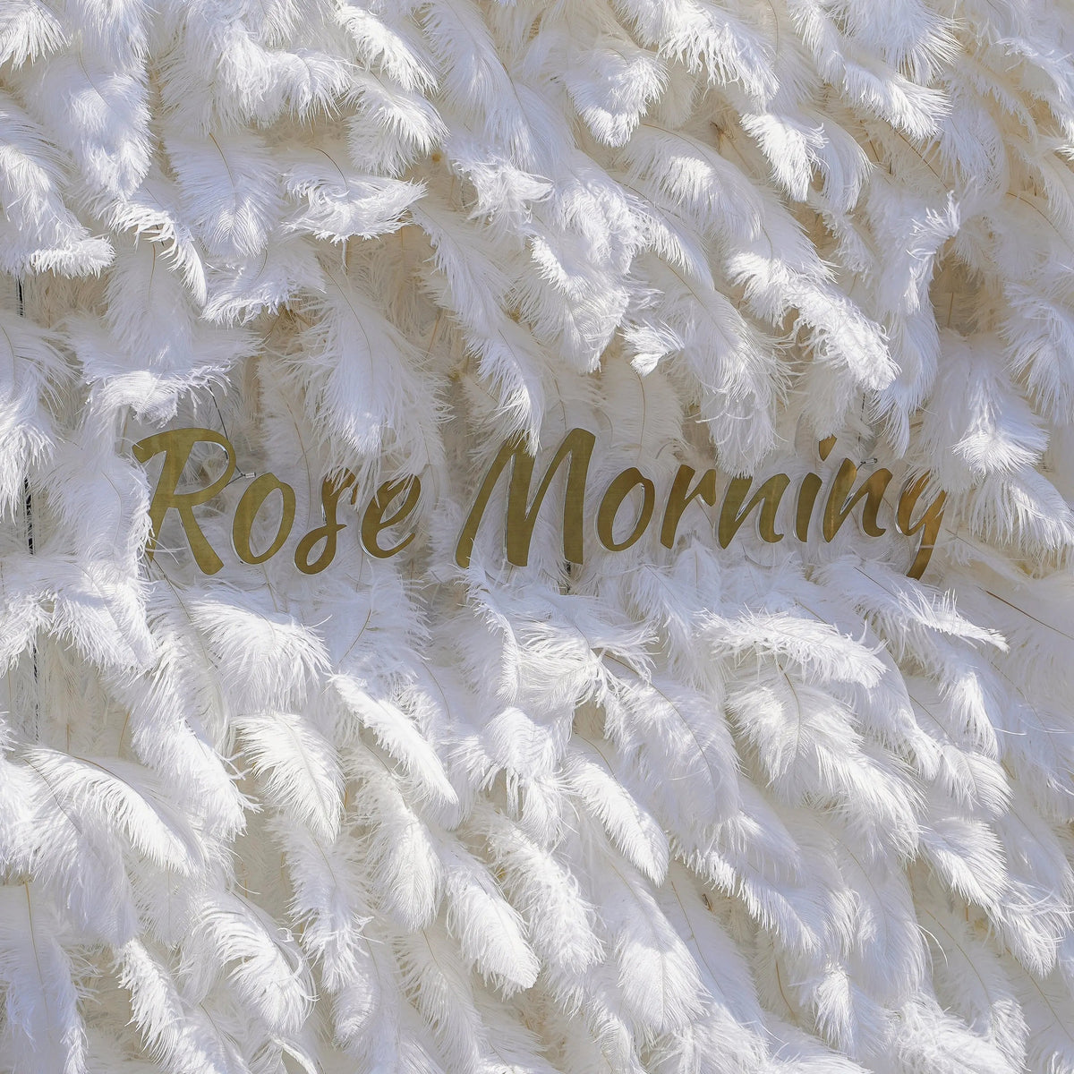 White Feather | 5D Event-Ready Artificial Floral Wall Backdrop, Roll-Up Fabric | Shipping Included
