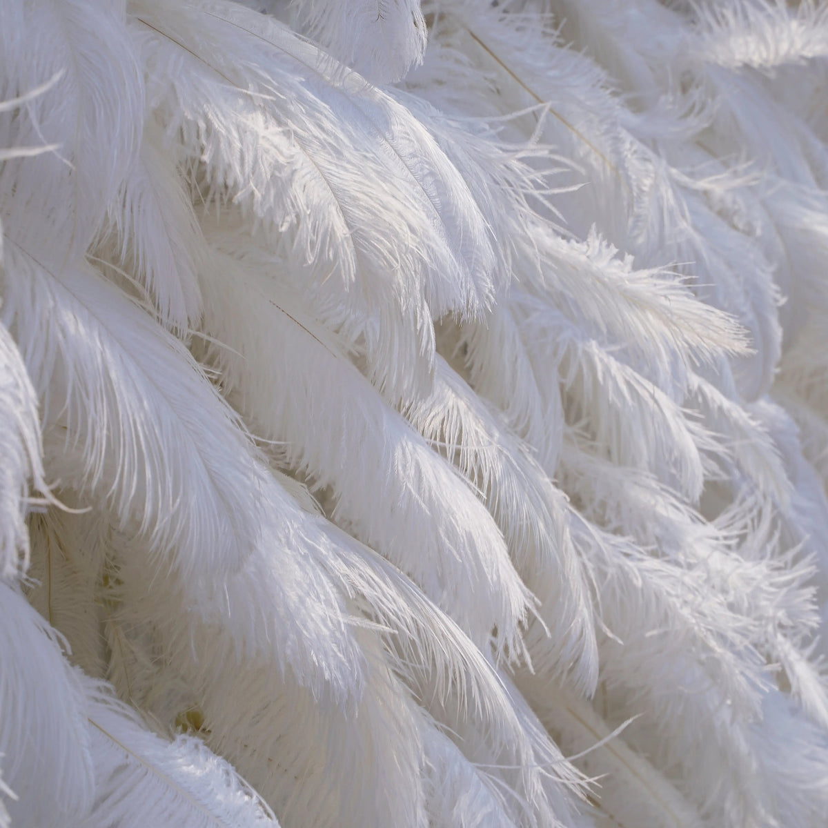 White Feather | 5D Event-Ready Artificial Floral Wall Backdrop, Roll-Up Fabric | Shipping Included