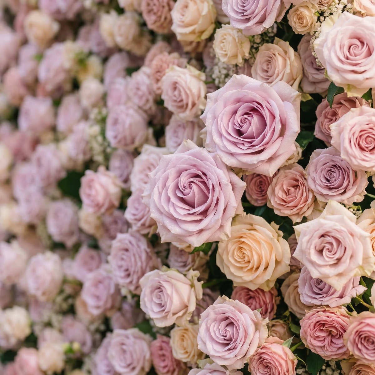 Yavelle | 5D Soft Pink & Light Lavender Event-Ready Silk Rose Floral Wall Backdrop for Elegant Weddings | Shipping Included