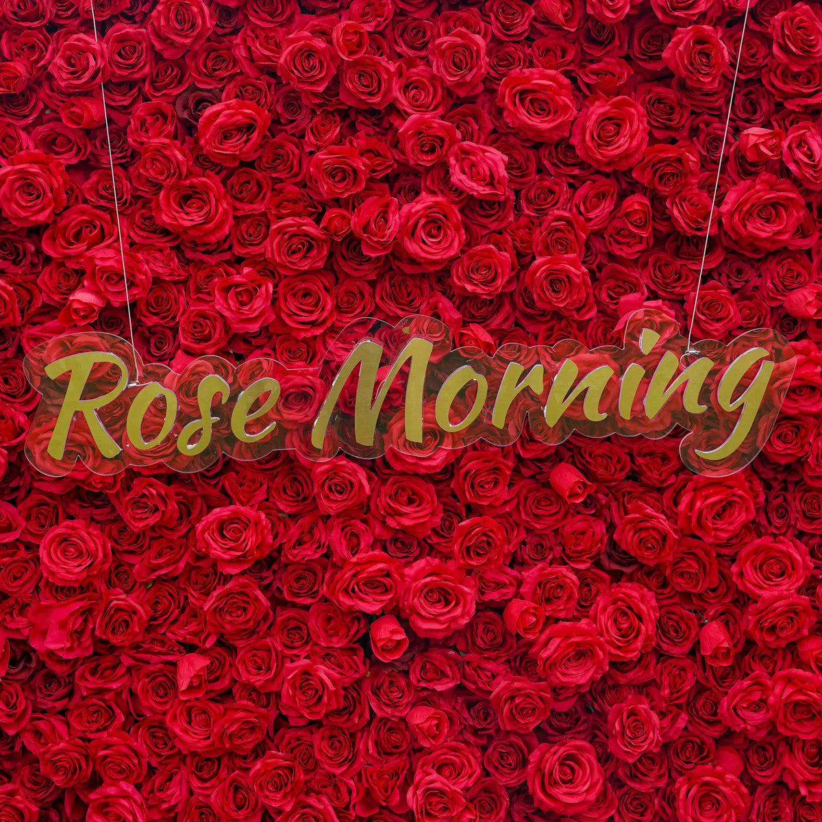 Yolanda | 4D Event-Ready Artificial Floral Wall Backdrop, Roll-Up Fabric | Shipping Included