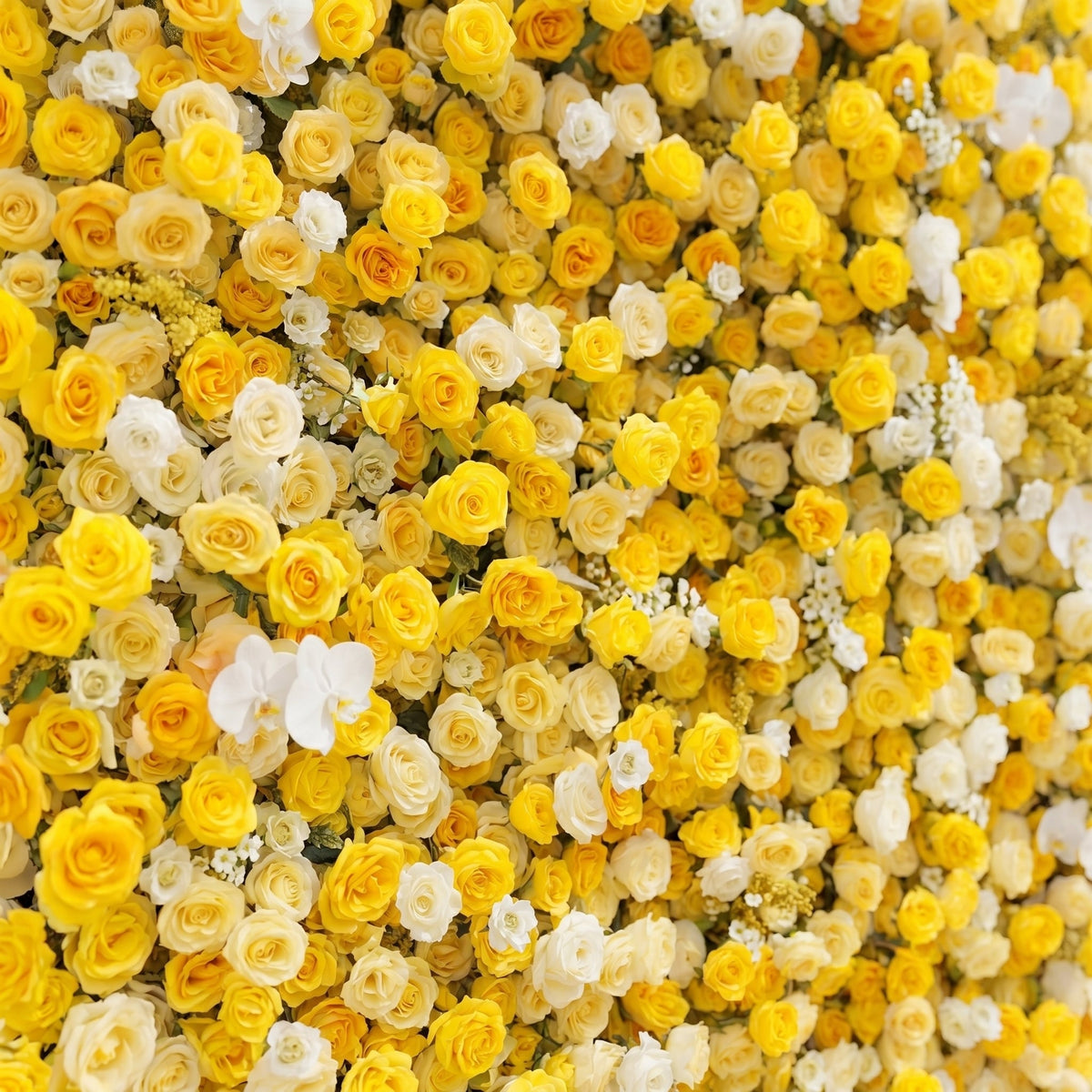 Zorova | Luxury 5D Lemon Yellow & White Silk Floral Wall Backdrop for Vibrant Summer Events | Shipping Included