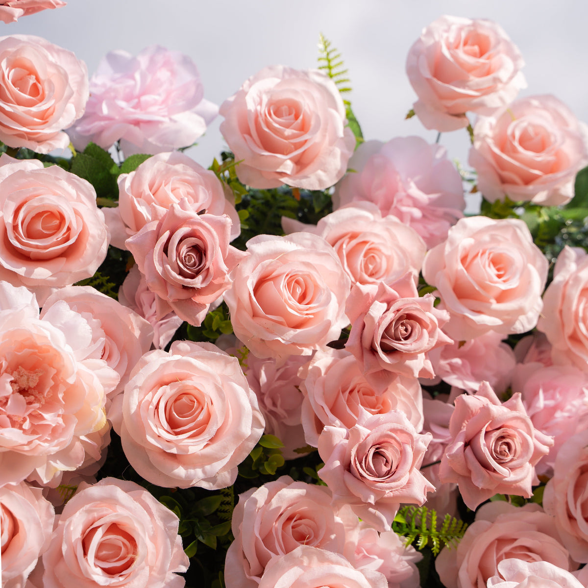 Aurelle | 3D Blush Pink Silk Rose Roll-Up Fabric Flower Wall for Wedding Parties & Events | Shipping Included