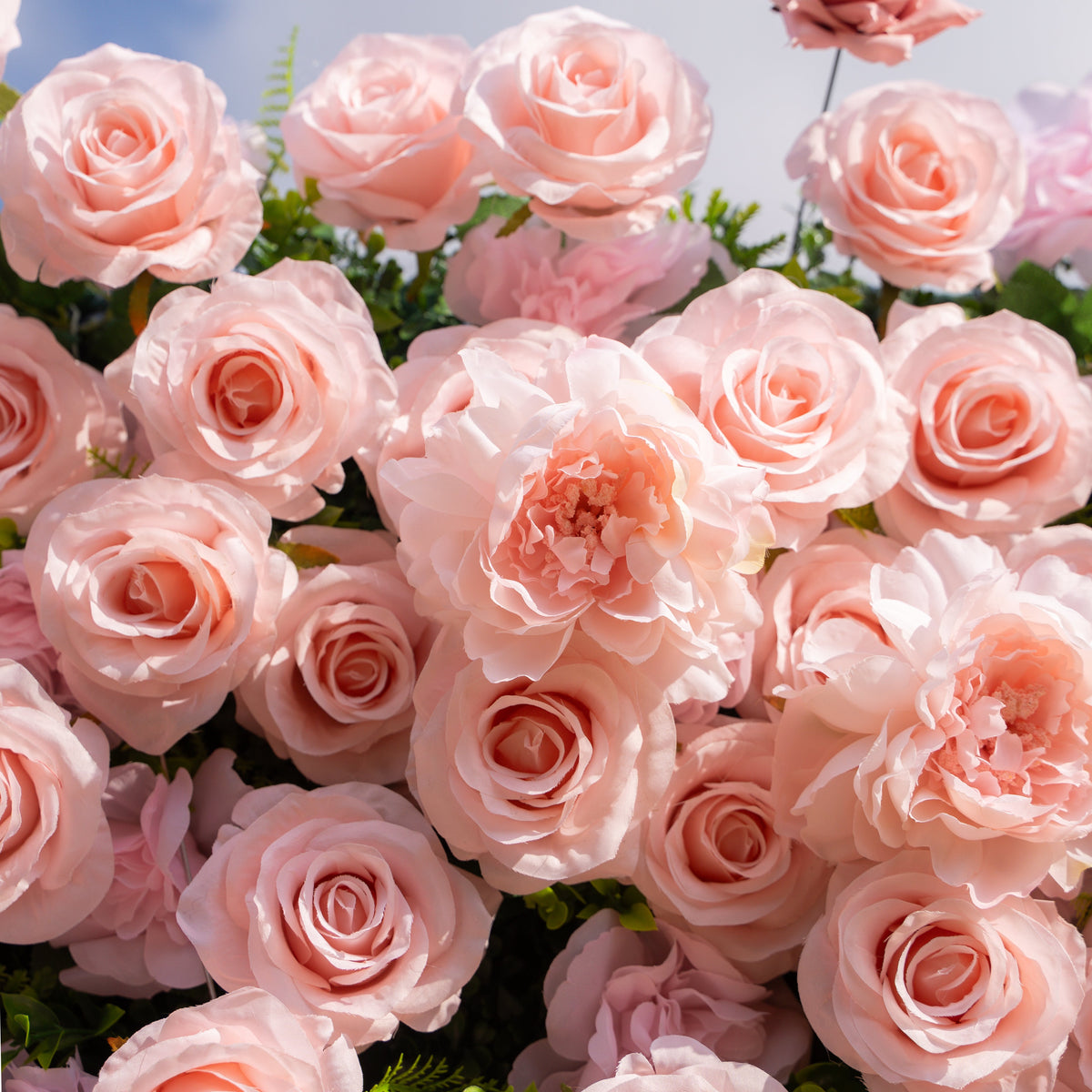Aurelle | 3D Blush Pink Silk Rose Roll-Up Fabric Flower Wall for Wedding Parties & Events | Shipping Included