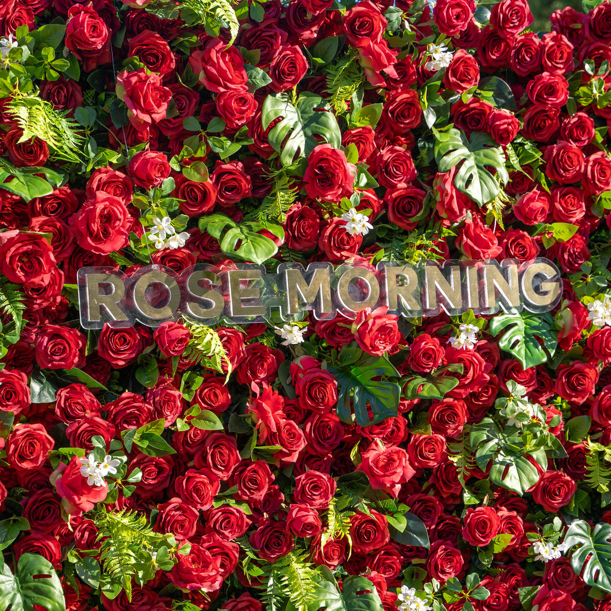 Blanca | 5D Event-Ready Artificial Floral Wall Backdrop, Roll-Up Fabric | Shipping Included