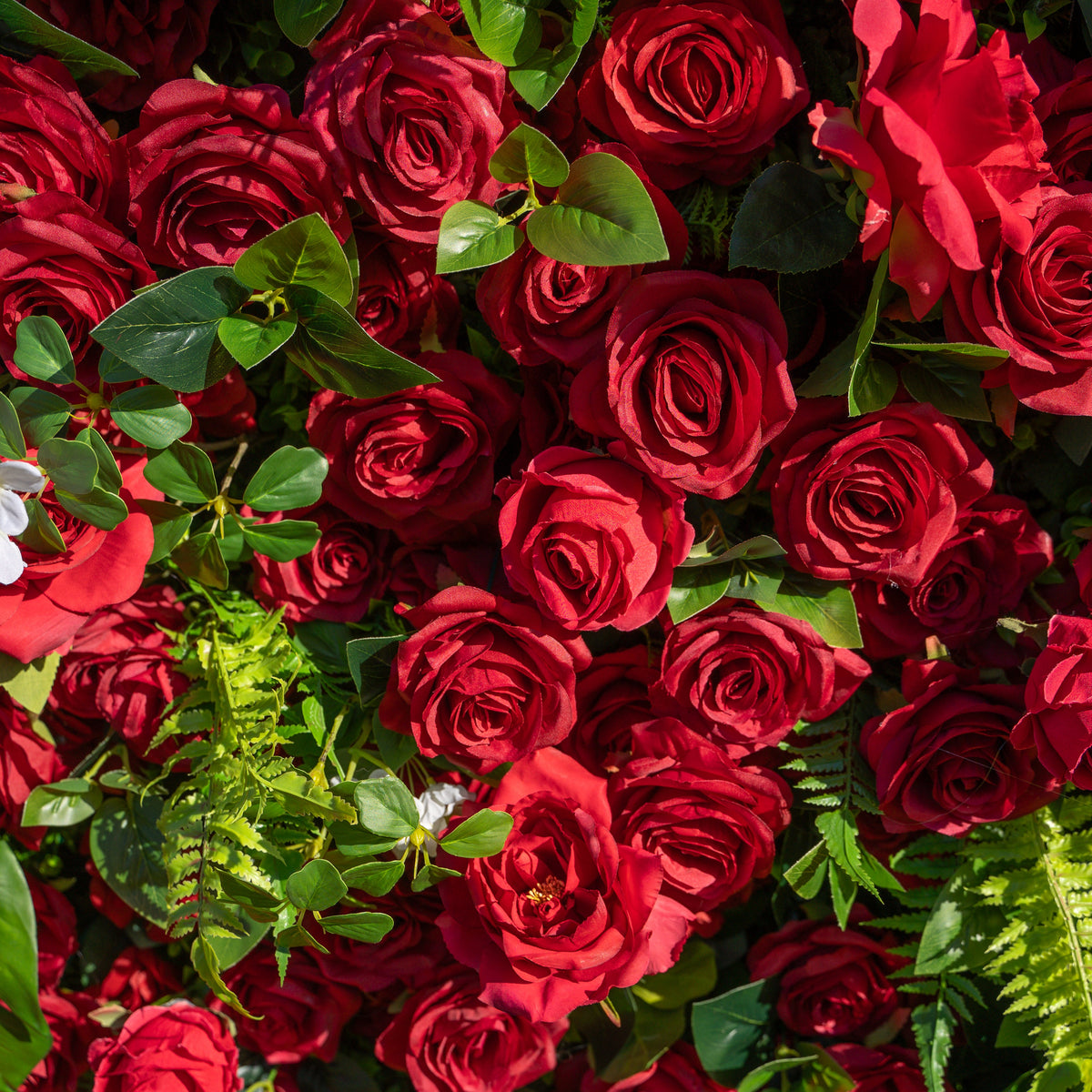 Blanca | 5D Event-Ready Artificial Floral Wall Backdrop, Roll-Up Fabric | Shipping Included
