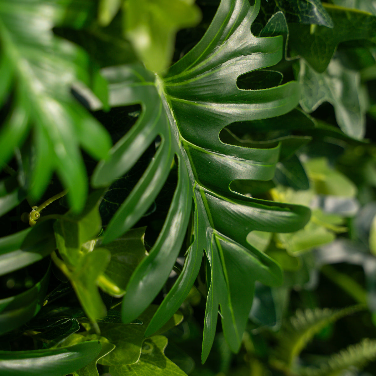 Candor | 5D Event-Ready Artificial Floral Wall Backdrop, Roll-Up Fabric | Shipping Included