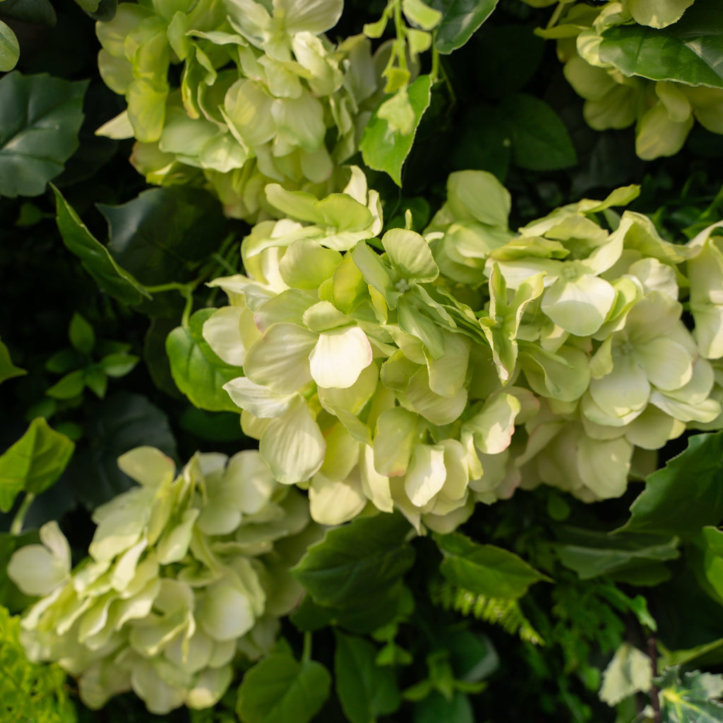 Cressida | 3D Elegant White Silk Rose & Greenery Foliage Wall Roll-Up Fabric Backdrop for Luxury Weddings, Parties & Botanical Decor | Shipping Included