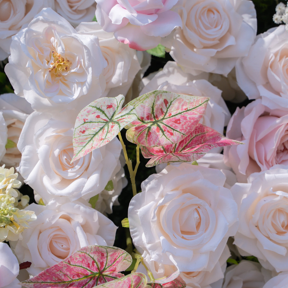 Ebony | 5D Event-Ready Artificial Floral Wall Backdrop, Roll-Up Fabric | Shipping Included