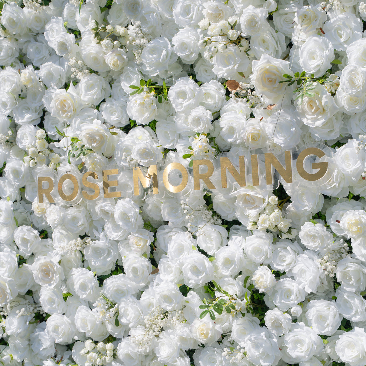 Friday - White Popular | 5D Fabric Roll Up Flower Wall for Wedding Party Event Backdrop | Shipping Included