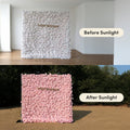 Hadas | 2026 New Launch Sun-Activated Color-Changing Rose Flower Wall Backdrop (8×8) — One Wall, Two Looks: White Indoors → Blush Pink in Sunlight | Shipping Included