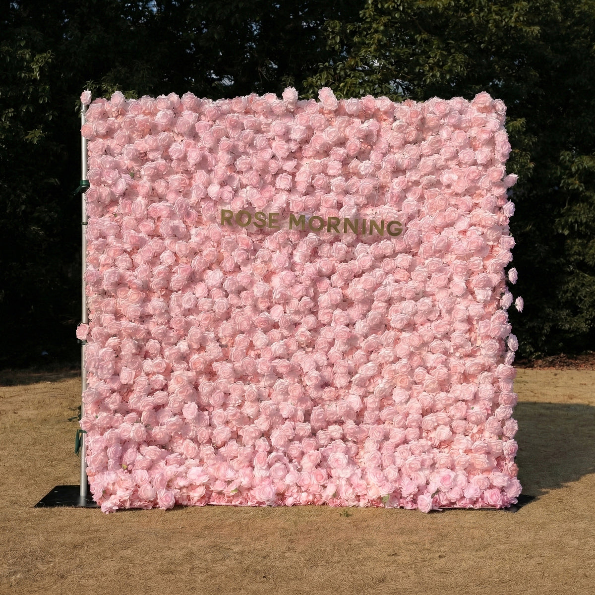 Hadas | 2026 New Launch Sun-Activated Color-Changing Rose Flower Wall Backdrop (8×8) — One Wall, Two Looks: White Indoors → Blush Pink in Sunlight | Shipping Included